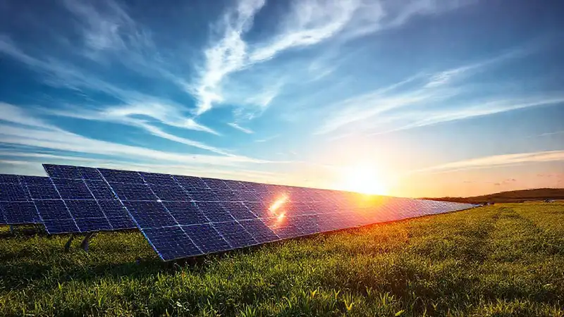 Paneles solares en campo verde y sostenibilidad
