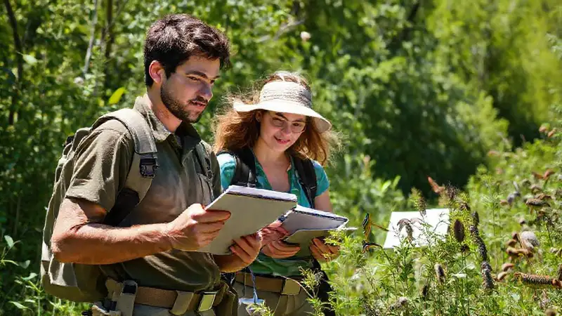 Biólogos recolectan datos en naturaleza luminosa
