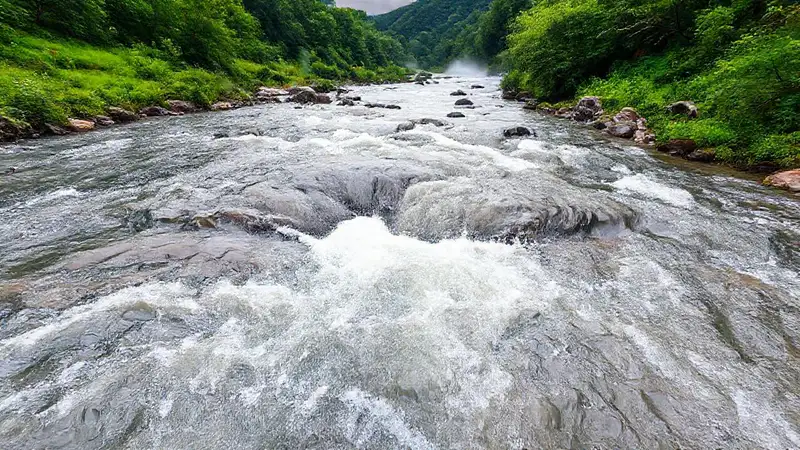 Río con vegetación, aguas dinámicas y neblina